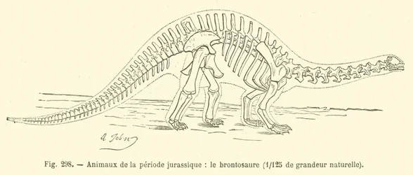Tiere der Jura-Periode, der Brontosaurus