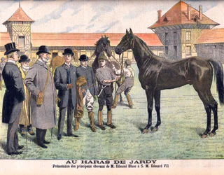 Auf dem Gestüt Jardy außerhalb von Paris (Marnes-la-Coquette). Züchter Edmond Blanc zeigt König Edward VII. seine besten Pferde. Das Gestüt Jardy. Präsentation der Hauptpferde von Herrn Edmond Blanc an SM Eduard VII. (1841-1910). Illustration für Le Petit 