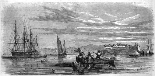 Baby gesammelt von den Moosen der Fregattenschule „Thetis“. Brest (Finistère, 29)