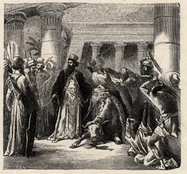 Kambyses II., Herrscher der Achämeniden-Perser, tötet den Apis, den heiligen Stier der Ägypter - Kambyses oder Kambyse II. (530-522 v. Chr.) Gravur aus „L