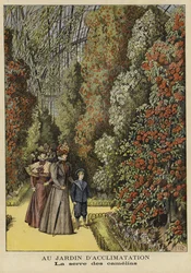 Kameliengewächshaus in einem botanischen Garten