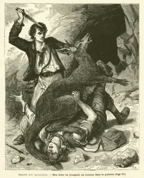 Kängurujagd (Gravur)