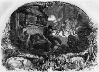 Herstellung von Apfelwein