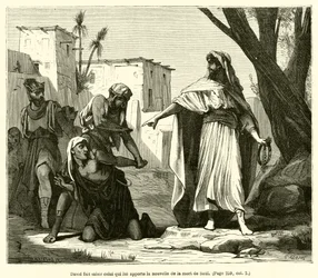 David lässt denjenigen ergreifen, der ihm die Nachricht vom Tod Sauls bringt