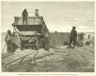 Entladung von Guano-Wagen