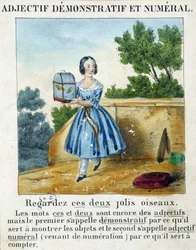 Demonstrativ- und Zahladjektiv (ein Mädchen trägt einen Käfig mit 2 Vögeln) - in „La grammaire en images“