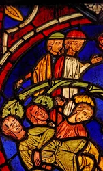 St. Martin und das Wunder des Kiefernbaums