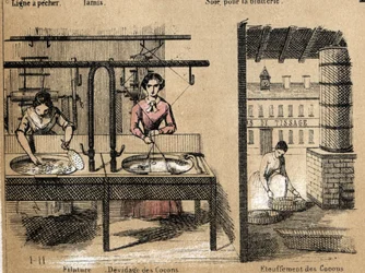 Beschreibung der Kultur und Seidenprodukte: Arbeiter spinnen Seide, entfernen oder ersticken Kokons. (la soie)