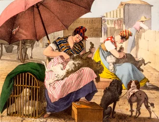 Hundepfleger, 1820