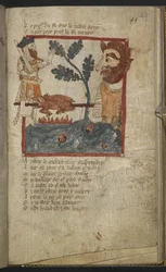 Egerton MS 3028 f.49r aus 