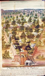 Elefantenjagd in Siam, aus einem Bericht der Jesuiten in Siam, 1688