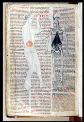 Ein Mann und ein Skelett, aus einem medizinischen Traktat von Abul Qasim Khalaf ibn al-Abbas al-Zahrawi (Abulcasis) (936-1013) übersetzt von Gerard de Cremone (1114-87)