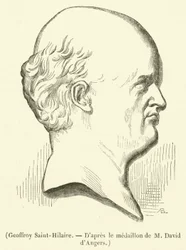 Geoffroy Saint-Hilaire