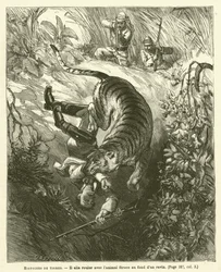 Geschichten von Tigern