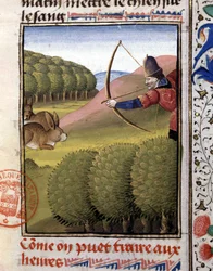 Hasenjagd mit dem Bogen - aus „Book of Hunting by Gaston Phoebus, Count of Foix, Lord of Béarn“