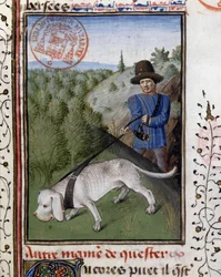 Jagdhund an einer Leine - aus „Book of Hunting by Gaston Phoebus, Count of Foix, Lord of Béarn“