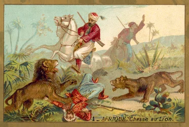 Löwenjagd in Afrika