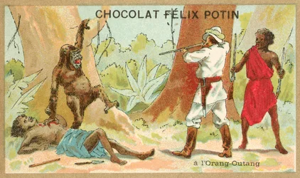 Orang-Utan-Jagd