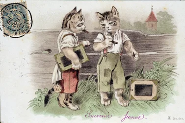Illustration von Katzen in Situationen - Postkarte Anfang 20. Jahrhundert