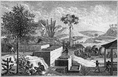 Indigoterie im Senegal im 17. Jahrhundert.