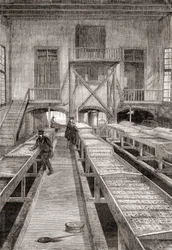 Innenansicht einer Fischfarm des 19. Jahrhunderts in Huningue, Frankreich, aus Les Merveilles de la Science, veröffentlicht um 1870 (Gravur)