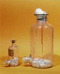 Glasgefäß, das von Louis Pasteur (1811-95) in seiner Forschung verwendet wurde (Glas)