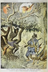 Tötung von Paradiesvögeln, Neuguinea