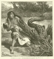 Die Indianerin und der Kaiman (Stich)