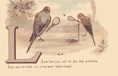 L: Lawn-Tennis ist das Spiel der Klugen; Sittiche haben viel Spaß!