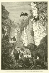 Die Trompete des Urteils der Wissenschaft hat geblasen (Gravur)