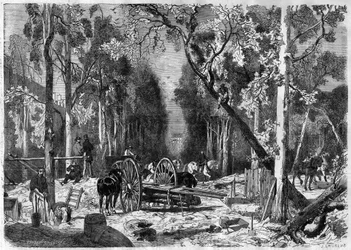 Der Holzfäller im Jardin de Luxembourg in Paris im Jahr 1870 - Gravur von 1870