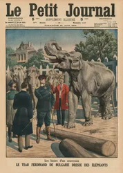Freizeit eines Souveräns, Zar Ferdinand I. von Bulgarien zähmt Elefanten, Titelillustration aus 