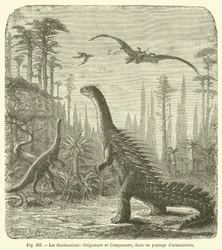 Die Dinosaurier, Stegosaurus und Compsognathus, in einer Landschaft von Araukarien (Gravur)