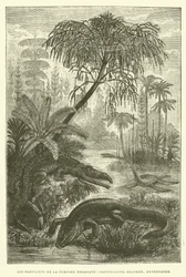 Die Bewohner der Triaszeit, Kapitosaurus, Belodon, Nothosaurus