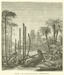 Die Labyrinthodonten, Mastodontosaurier