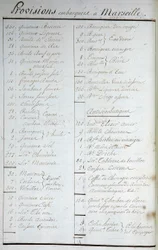 Liste der Vorräte an Bord in Marseille und antiskorbutische Rezepte in „Voyage Around the World on the Solid Captain Marchand“ (ein Logbuch). 1791-1792. National Archives of Paris.