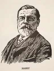 Marey