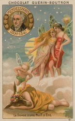 Ein Sommernachtstraum