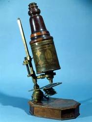 Mikroskop (Holz & Messing)