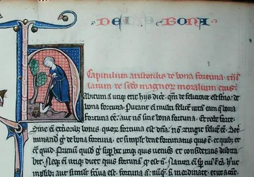 Ms 3458 Historisierte Initiale 