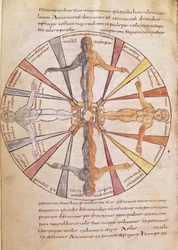 Ms 422 fol.6v Rad der Jahreszeiten und Monate, aus De Natura Rerum von St. Isidor von Sevilla