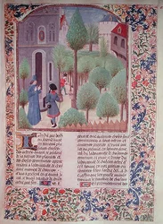 Ms 5064 fol.105r Bäume pflanzen, aus Livre des Prouffitz Champestres von Pietro de Crescenzi (1230-132021)