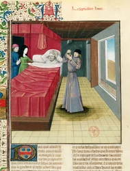 Ms Fr 9140 fol.120v Ein Arzt führt eine Urinanalyse durch, aus Livre des Proprietes des Choses von Barthelemy l