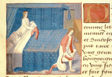 Ms Hunter 252 f.20v Bettszene, aus 