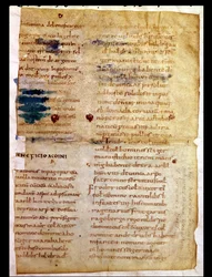 Inventar des karolingischen Grundbesitzes, aus dem Polyptychon des Abtes Irminon von Saint-Germain-des-Pres