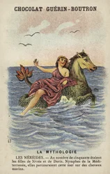 Nereiden