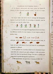 Notizen zur Färbung bestimmter Hieroglyphen, aus Grammaire Egyptienne von Jean Francois Champollion, 1836