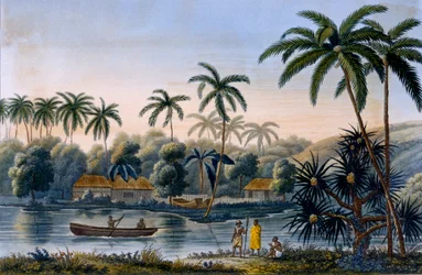 Teil des Dorfes Matavae, Kokospalmen und andere Früchte, Tahiti, aus Voyage autour du Monde sur la Corvette Coquille von Leutnant Louis Isodore Duperrey, veröffentlicht 1826