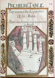 Teile der linken Hand für diejenigen, die nachts geboren wurden, aus einem Manuskript der Chiromantie, 18. Jahrhundert