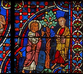 Philippus, Nathanael, Feigenbaum